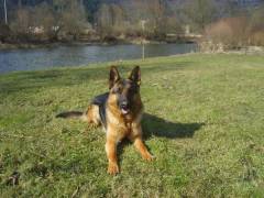 sirr-damyl-junior-04_original