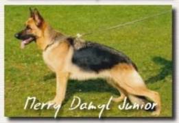 merry-damyl-junior_original