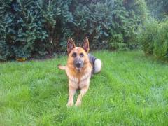 polly-damyl-junior-01_original