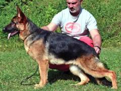 utta-damyl-junior-04_original