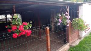 nase-stanice1_original