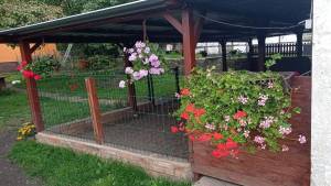 nase-stanice2_original